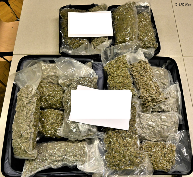 Zehn Kilo Cannabis soll ein Mann versucht haben, von Amsterdam nach Wien zu schmuggeln. | Foto: LPD Wien
