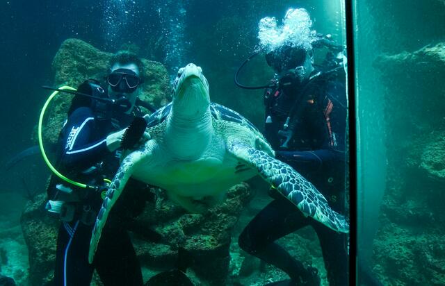 Hausmaskottchen "Puppi", die älteste Bewohnerin des Zoos, durfte beim Foto natürlich nicht fehlen. | Foto: Andreas Pölzl/MeinBezirk