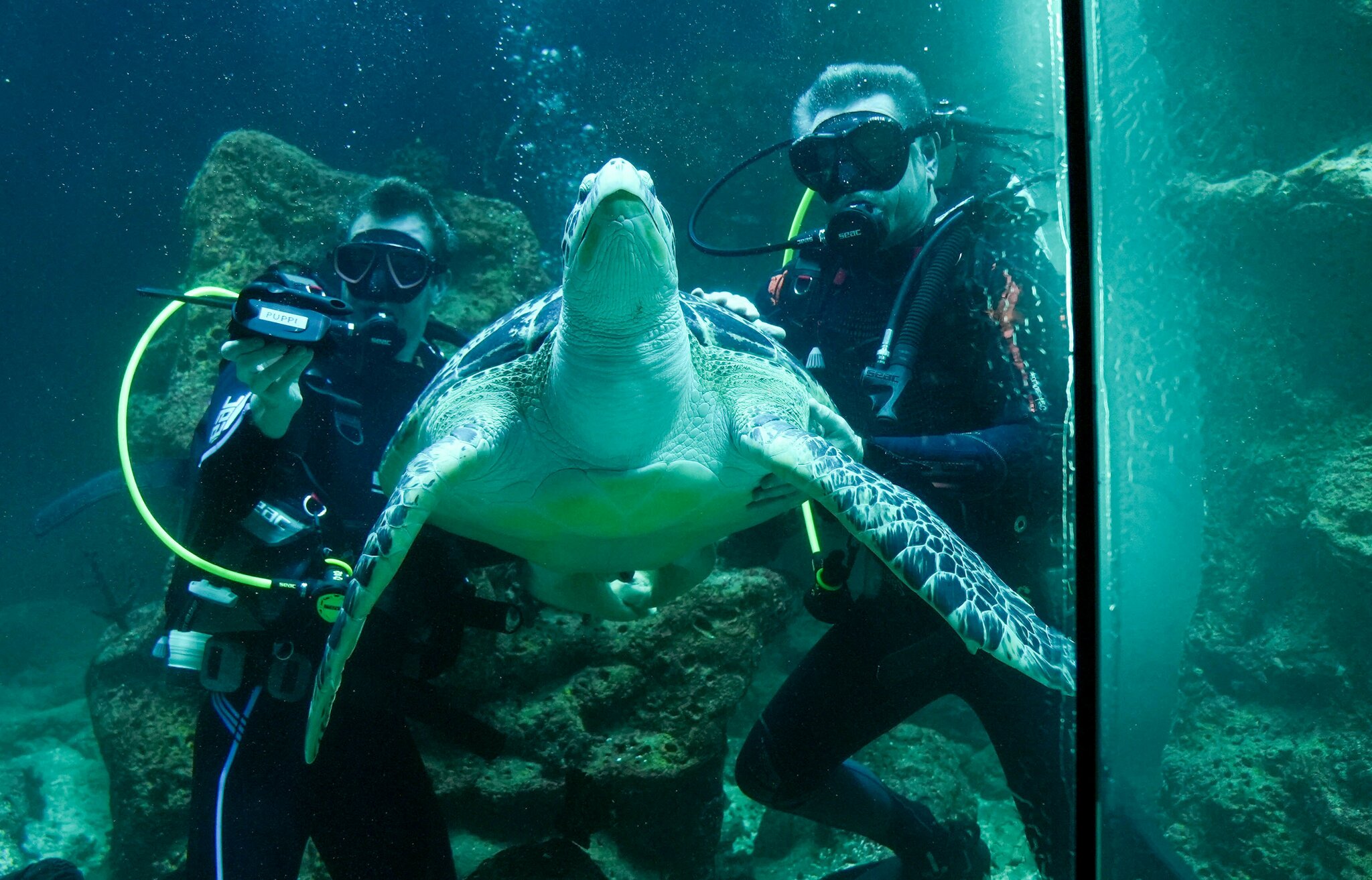 "Zepter"-Übergabe im Aquarium: Führungswechsel im Wiener Haus des