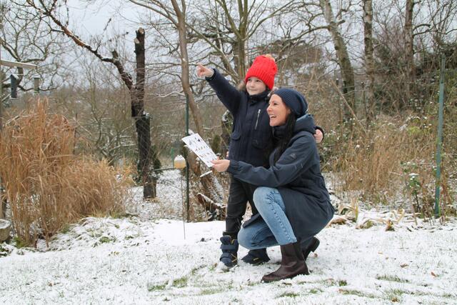 BirdLife Österreich ruft vom 4. bis 6. Jänner 2025 zur „Stunde der Wintervögel“ auf. | Foto: BirdLife Österreich