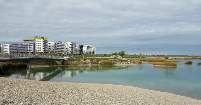 Im Öffi-Frühverkehr am Mittwoch, 18. Dezember, bemerkten einige Passantinnen und Passanten in der Nähe der U2-Station Seestadt eine treibende Person im Asperner See. (Archiv)