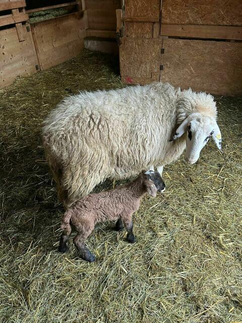 Foto: Landgut Cobenzl