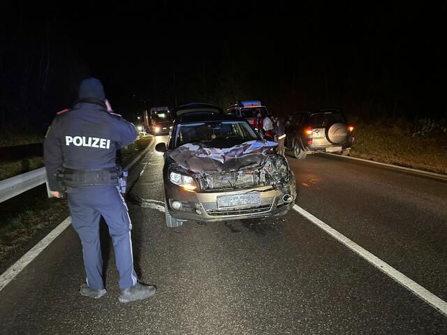 Der Horror eines jeden Autofahrers ist wohl die Kollision mit einem Wildtier, so wie auch Donnerstag früh auf der Achenseebundesstraße in Wiesing.  | Foto: Zoom-Tirol