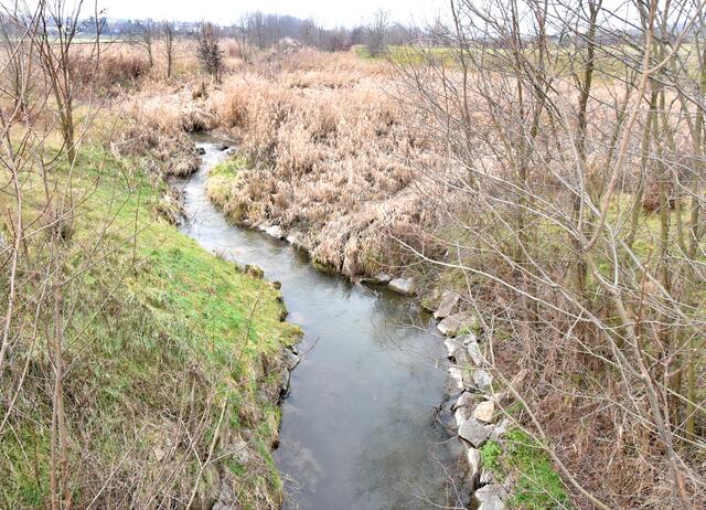 Der harmlose Pulkau Fluss | Foto: Herbert Schleich
