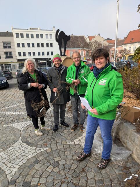 „1000 Bäume für Hollabrunn“: Großer Erfolg für Baum-Aktion der Grünen | Foto: Grüne Hollabrunn