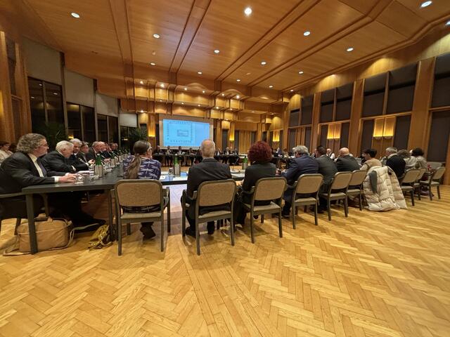Eine Premiere im Trauner Gemeinderat: Die SPÖ Traun hat vier Ausschussmitglieder abberufen. | Foto: MeinBezirk Linz-Land