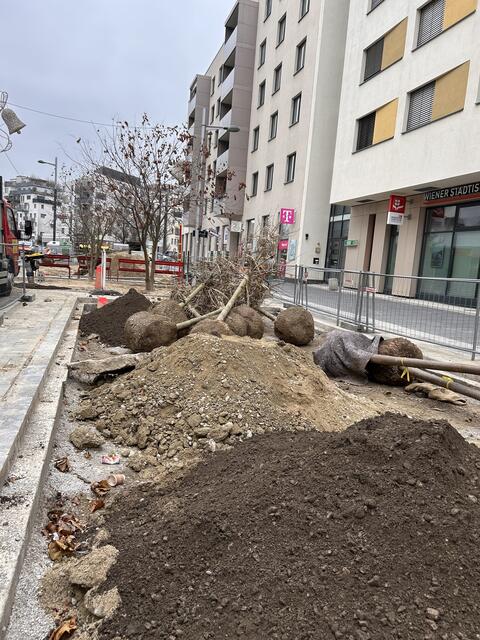 Foto: BV22