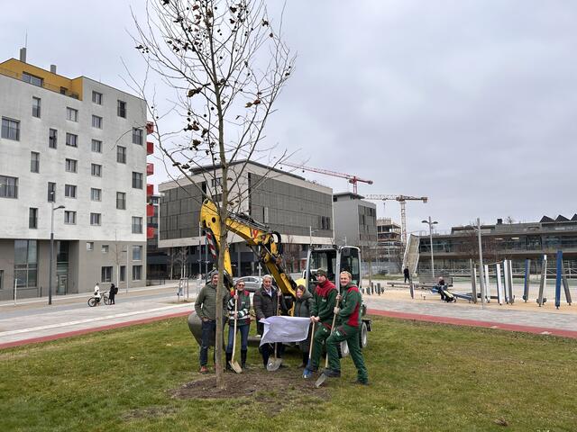 Foto: BV22