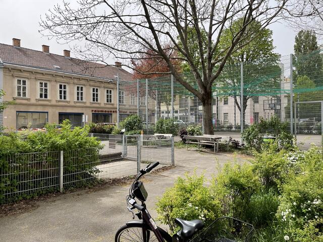 Der Park in der Elisenstraße wird neugestaltet.  | Foto: Lisa Kammann