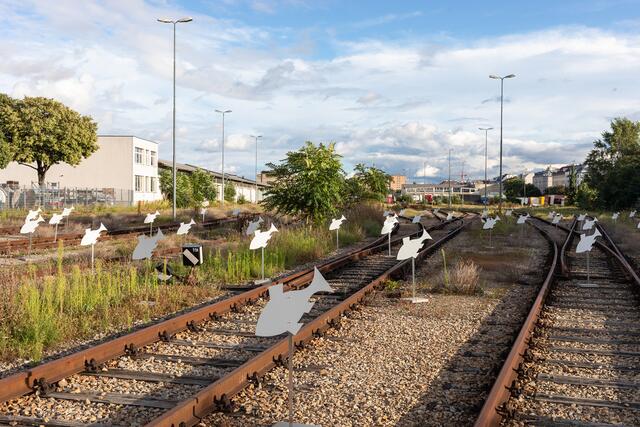 Ein Mahnmal für die Fische erinnert heute noch an die Geschichte des Nordwestbahnhofs. Die Vergangenheit des Ortes ist durch die Geschichte der Fischerei in Wien durchzogen. | Foto: Wolfgang Thaler / Tracing Spaces