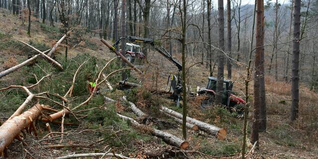 Gegenseitiges Vertrauen und Achtsamkeit ist immer Voraussetzung