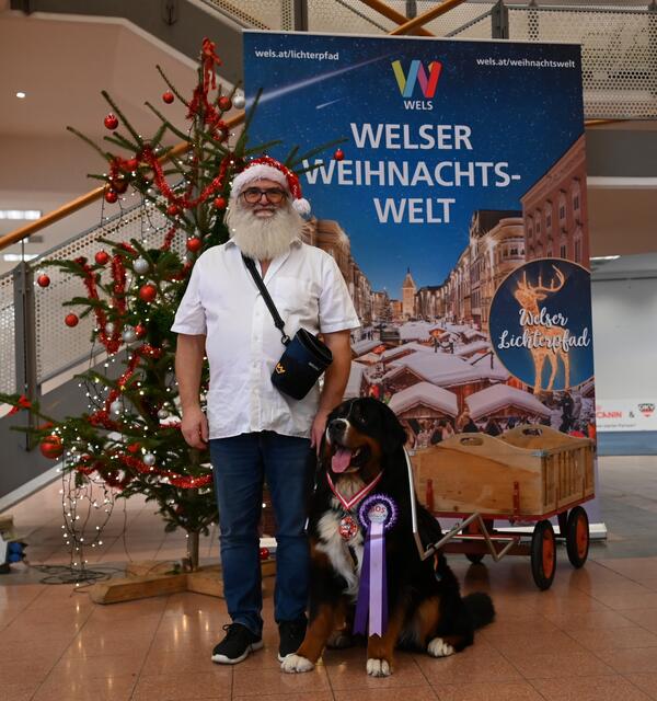 Berner Sennenhund - Sieger in seiner Klasse und tolle Auszeichnung 