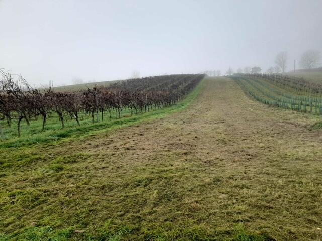 Foto: Elisabeth Bendl