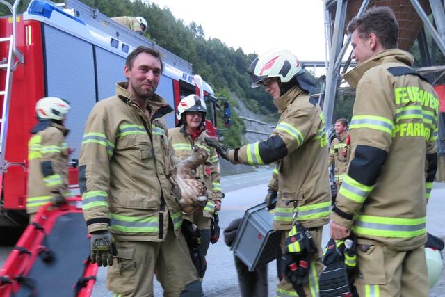 So manch kuriose Geschichte ereignete sich 2024 im Pongau. | Foto: FF Pfarrwerfen / Stefan Hafner