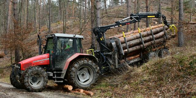 manchmal ist auch ein gewisser Hausverstand vom Vorteil