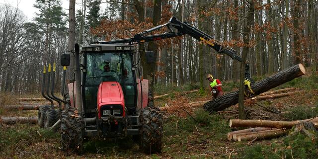 Geschafft. Das sieht alles wie ein Kinderspiel aus. Wer diese Arbeit schon einmal gemacht hat, weiß wie schwer und gefährlich diese auch sein kann.