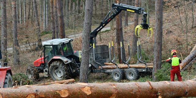 Auf Grund des steilen Geländes muss der Rückewagen rückwärts den Hang hinaufgeschoben werden.

