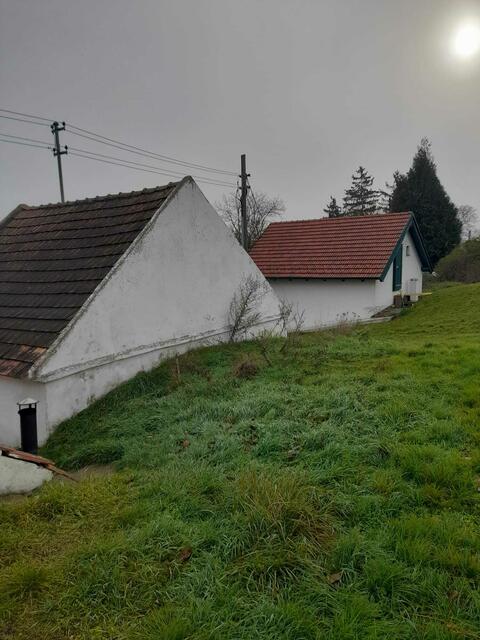 Foto: Elisabeth Bendl