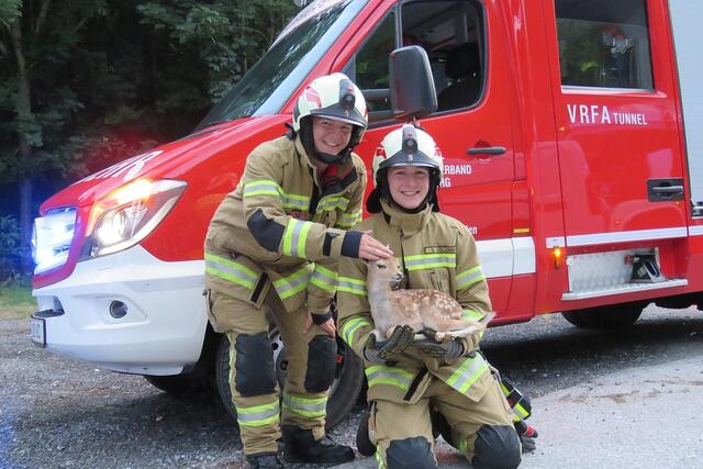 Da staunten die Mitglieder der Freiwilligen Feuerwehr Pfarrwerfen nicht schlecht! Nachdem sie gerufen wurden, um ein vermeintlich verletztes Rehkitz aus dem Fritzbach zu retten, stellte sich dieses als ausgestopftes Präparat heraus. Gerettet wurde es trotzdem! | Foto: FF Pfarrwerfen / Stefan Hafner
