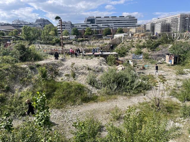 Aus der Zwischennutzung am Gelände entwickelte sich eine Bewegung, die den Bau der Halle verhindern will. (Archiv) | Foto: St. Marx für Alle