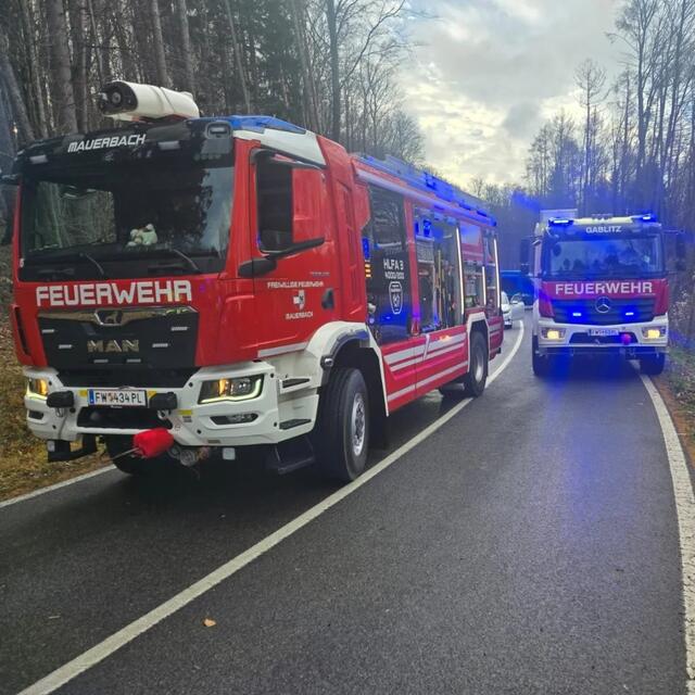Foto: Freiwillige Feuerwehr
