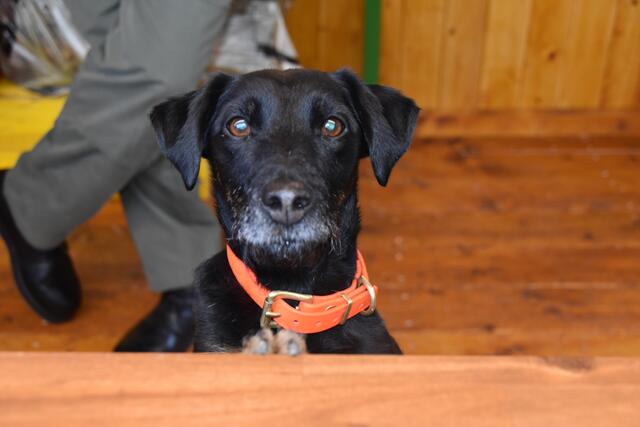 Foto: Michael Strini