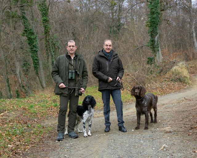 Das Land Burgenland fördert eine Unfallversicherung für Jagdhunde ab 1. Februar. | Foto: Büro LR Schneemann