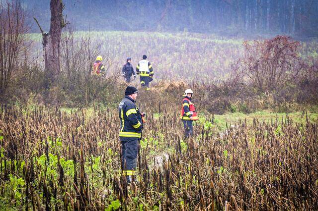 Foto: TEAM FOTOKERSCHI / AMATO GABRIEL