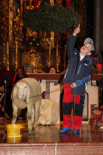 Foto: Gerhard Gruber