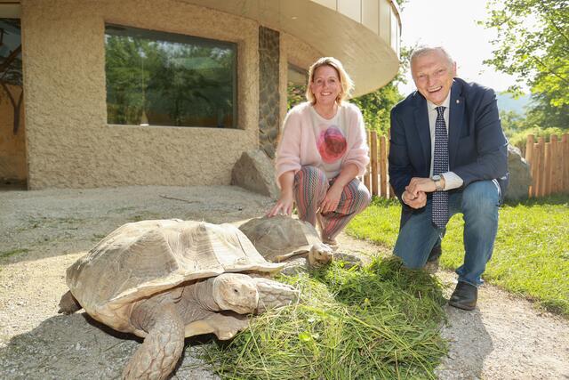 Zoo Salzbug Neue Anlage für die Schildkröten. Im Bild Zoo-Direktorin Sabine Grebner und LAbg. Josef Schöchl Foto: Franz Neumayr 30.5.2023 | Foto: Franz Neumayr