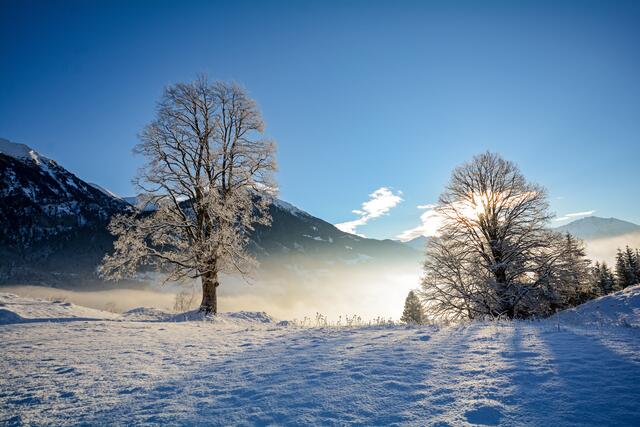 Teilweise gab es bis zu 15 Zentimeter Neuschnee in Kärnten. (Symbolfoto) | Foto: stock.adobe.com/at/ah_fotobox