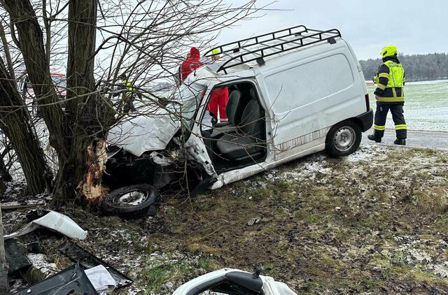 Foto: Pressefoto Scharinger/Daniel Scharinger