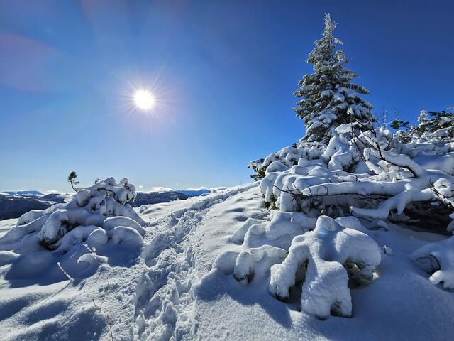Erster Wintervorgeschmack, am Weg hoch zum kleinen Ötscher, Lackenhof | Foto: Christian Hahn