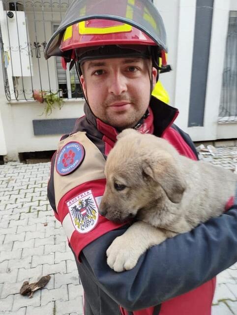 Gregor Finster von der Tierhilfe Gusental und sein Team waren bereit, um verunglückte Tiere in der Region Wels zu retten. | Foto: THG