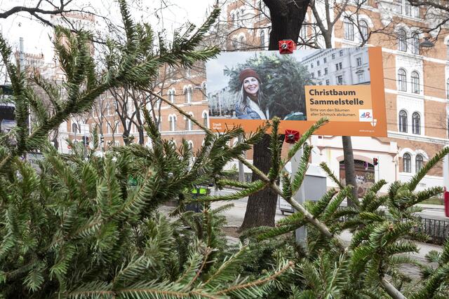 Foto: Weingartner-Foto/picturedesk.com