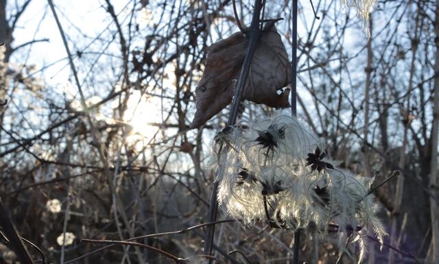 Foto: Martina Laserer 