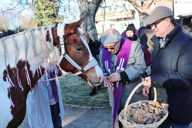 Jedes Pferd erhielt von Pfarrer Norbert Glaser und Andreas Peißl gesegnetes Brot. | Foto: Edith Ertl