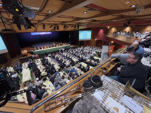 Bei der Stefanisitzung stimmten sich alle nochmal auf die Fasnacht und das kommende Schleicherlaufen ein.