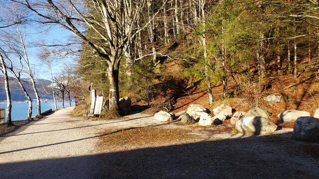 Herbstliches Wetter am 26. Dezember 2024.