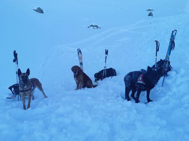 Zwei Rettungshubschrauber, ein Polizeihubschrauber, drei Hundeführer der Bergrettung sowie 33 Bergretter und zwei Alpinpolizisten waren im Einsatz. | Foto: zoom.tirol