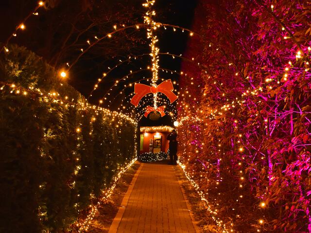 Der Tunnel in die Weihnachtswelt  | Foto: Karmen Erhart