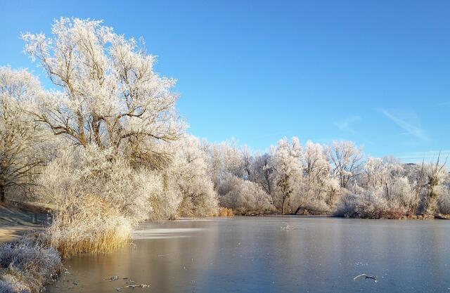 Salzachsee | Foto: H. Bachinger