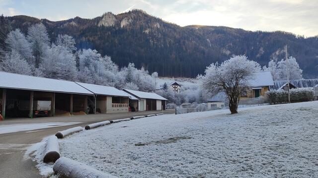 die Rückseite vom  Reithof... | Foto: I.Wozonig