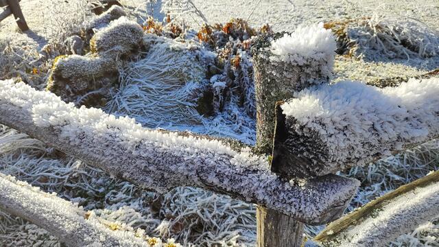wie schön die Reifkristalle funkeln... | Foto: I.Wozonig