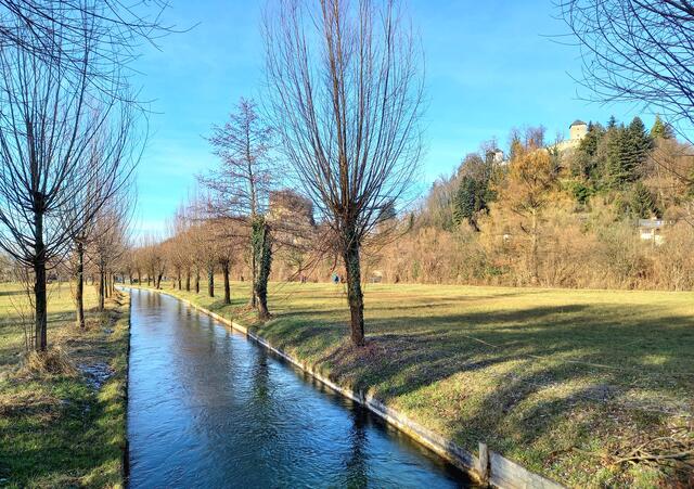 Foto: H. Bachinger
