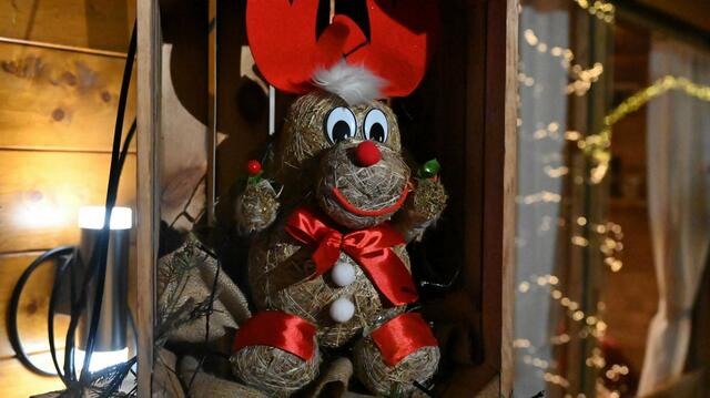 Foto: Norbert Ortner