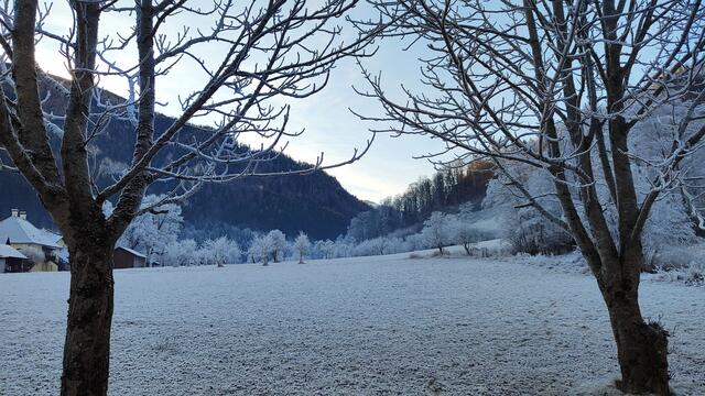 herrlich legt sich der Raureif über's Land... | Foto: I.Wozonig
