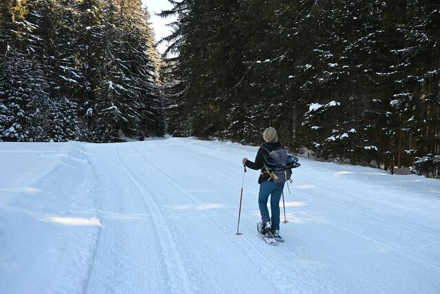 Der Weg ist präpariert und führt zuerst durch den Wald