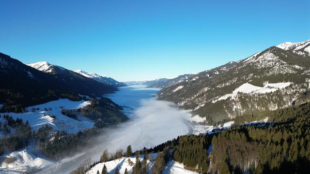 Sobald der Schnee geschmolzen ist, kommen die ersten Kräuter ans Licht, die zu ernten es sich lohnt.  | Foto: Norbert Ortner