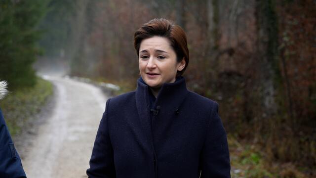"Das ist das Schwierige bei der Budgeterstellung. Jeder Bereich für sich ist extrem wichtig", findet die FPÖ-Politikerin Svazek, die den privaten Haushalt als Vorlage heranzieht: "Aber es heißt nicht umsonst Landeshaushalt. Wenn man selbst im Haushalt weniger Geld zur Verfügung hat, muss man schauen, was jetzt notwendig ist." | Foto: Stefan Schubert